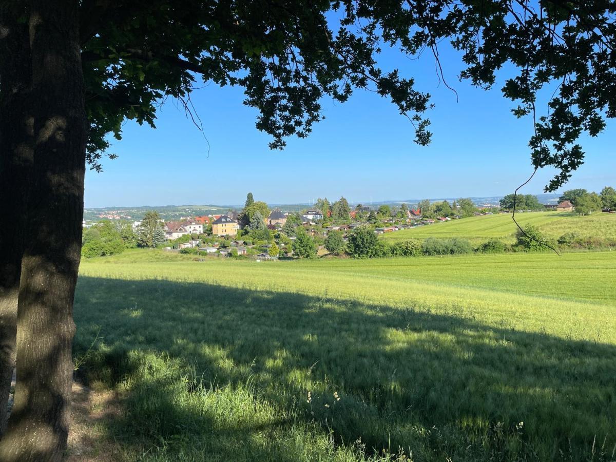 "Glueck Auf" Lichtdurchflutete Schicke Ferienwohnung In Zwickau Buitenkant foto